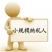 在成都，小規模納稅人注冊企業(yè)后，如何報稅登記？ 