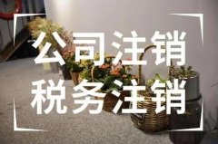 公司注銷(xiāo)要注意什么問(wèn)題？公司注銷(xiāo)要花多少錢(qián)？ 