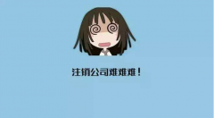 成都注銷(xiāo)公司為什么那么貴?成華區不注銷(xiāo)會(huì )有什么后果? 