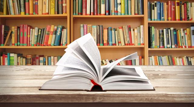 分公司有營(yíng)業(yè)執照嗎